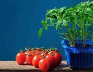 Screenshot_20251124_144855_Google