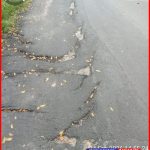 Screenshot_20260412_001347_Gallery