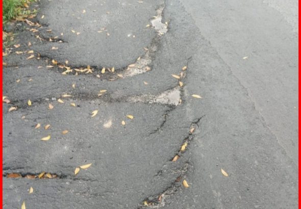 Screenshot_20260412_001347_Gallery